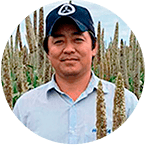 Depoimento Híbridos Graníferos