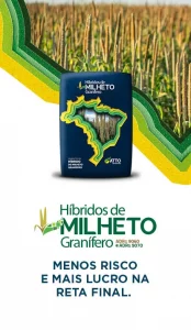Híbridos de Milheto Granífero - ADRg 9060 - ADRg 9070