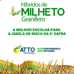 01_2000x2500px_Post_Textos