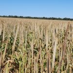 01_ADRG 9070_28-06-19