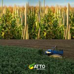 WhatsApp Image 2025-12-19 at 09.27.50